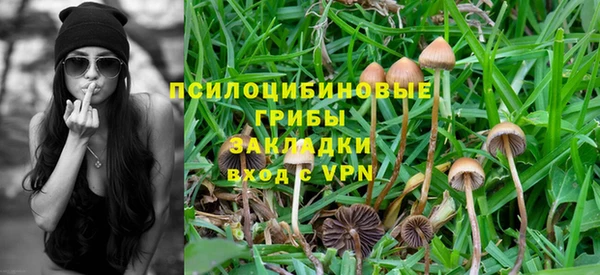 стафф Алексеевка
