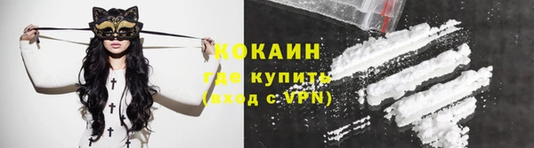 кокс Алексин