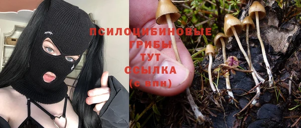 стафф Алексеевка