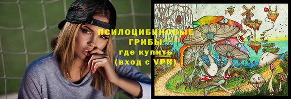 кокс Алексин