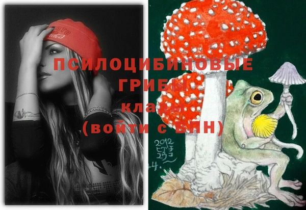 скорость Абаза