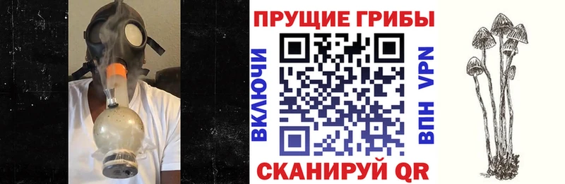 Галлюциногенные грибы ЛСД  Лысково 